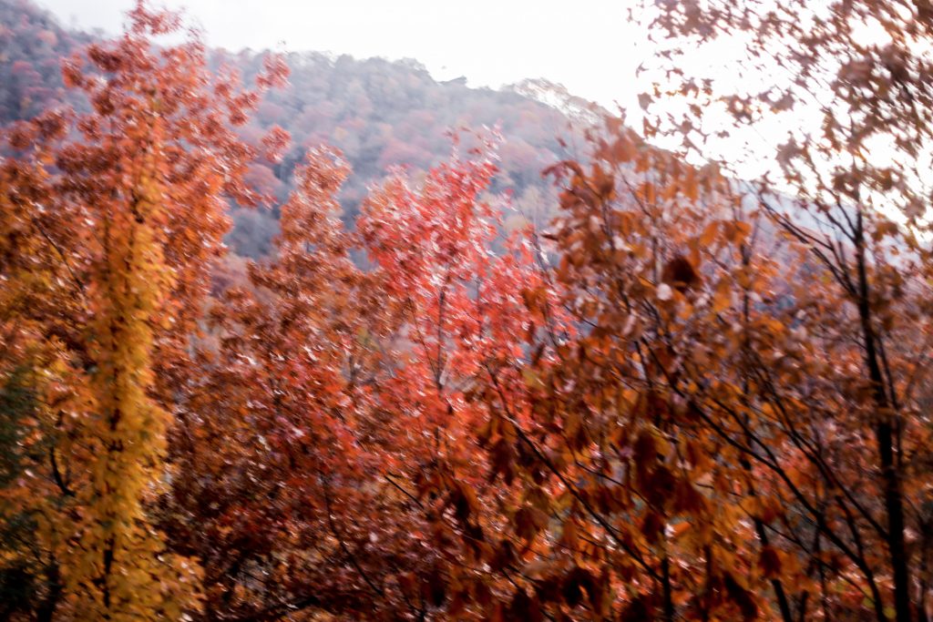 Fall in Maggie Valley white gray sweater poncho wrap Target skinny jeans cognac ankle boots white turtleneck autumn Maggie Valley NC fall 2017 street style Charleston Fashion Blogger Dannon Like The Yogurt 